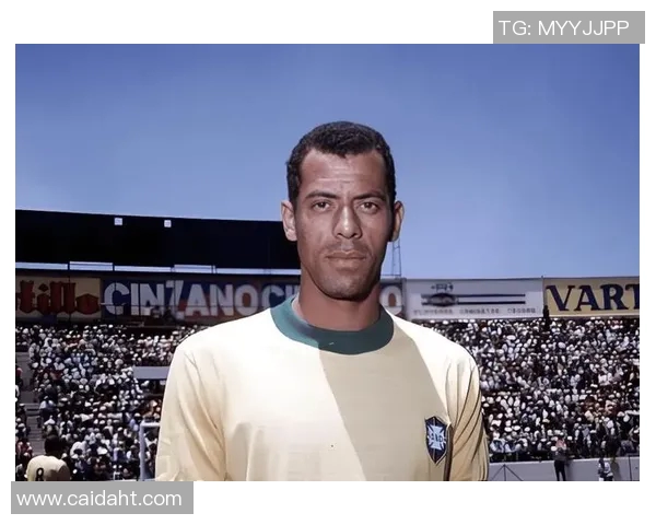 40几岁足球明星的传奇人生与不老传说揭秘