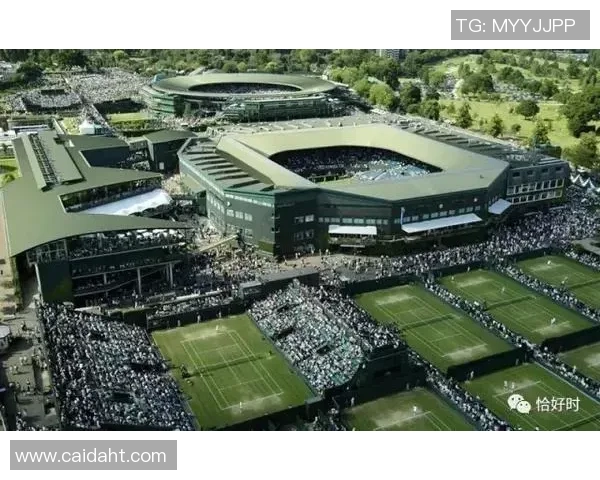 广州网球队速度之争引发热议球迷与专家各执己见探讨真相